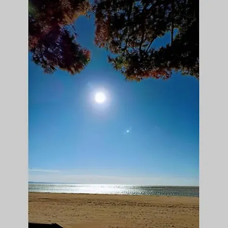 Venus *