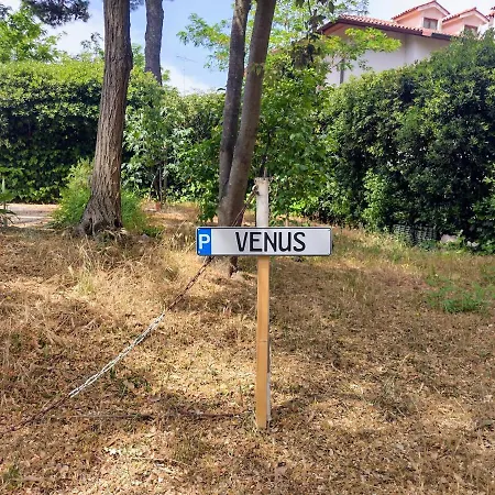 Venus *